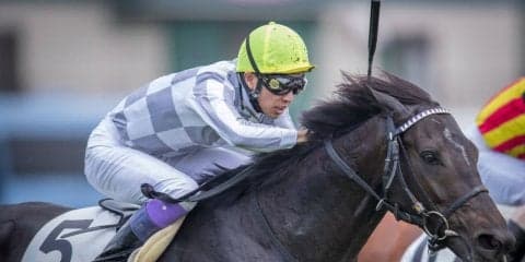 【新馬/中京5R】武豊「将来性を感じた」マイラプソディが強い競馬を見せる