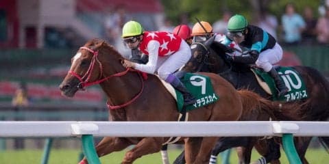 【プロキオンS】森師「予定通りブリーダーズカップ(スプリント)へ」レース後 関係者コメント