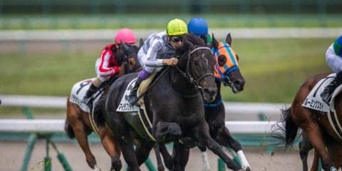 【日曜中京/新馬5R】武豊「伸びしろある」マイラプソディが上がり最速で差し切りV！