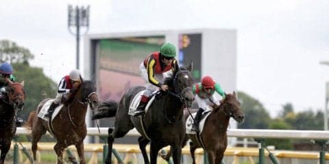 ブルトガングが安楽死処分 全姉は桜花賞馬のグランアレグリア