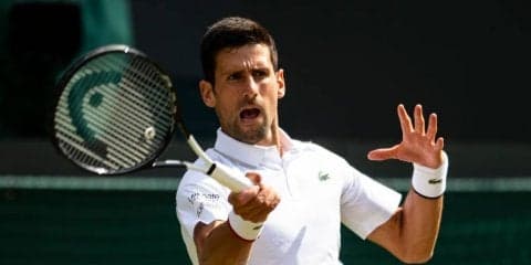 【速報予定】ジョコビッチの準々決勝。世界23位ゴファンと21時開始予定[ウィンブルドン]