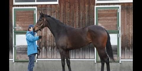 リスグラシューの妹リリレフアは「フットワークが軽やかで力もある」