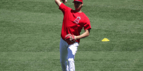 【MLB】大谷、スカッグス投手は「お兄ちゃんみたい」　前日の継投ノーノーに「何かあるのかな」