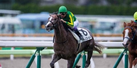 【新馬/函館5R】武豊サトノゴールドが完勝！デビューV