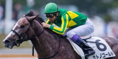 【日曜函館/5R新馬】武豊「いかにもゴールドシップ産駒」ゴールドシップ産駒JRA初勝利