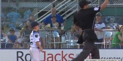 米大学野球“6歳コーチ”が退場処分に可愛すぎる猛反撃　MLB公式「全てを捧げている」