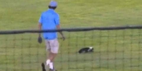 米マイナーでまさかの珍客襲来！　試合中断は「誰も触りたくない」生物が原因だった…