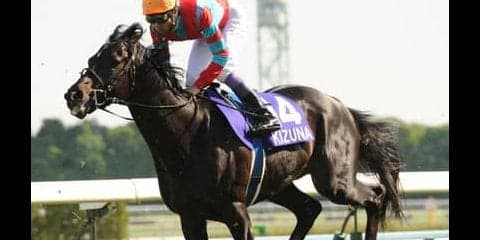 函館２歳Ｓは血統で狙う。父馬だけでなく、母系にも注意が必要だ