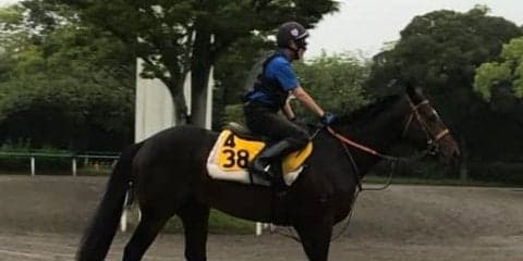 【中京記念】キャンベルジュニア 久々のマイルで重賞狙う