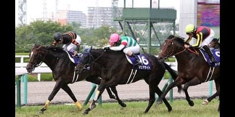 「華麗なるファミリー」から出てきた大物、ヴァーダイトに激アツ評価