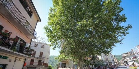 ERCローマ、波乱の初日は地元のバッソがトップ