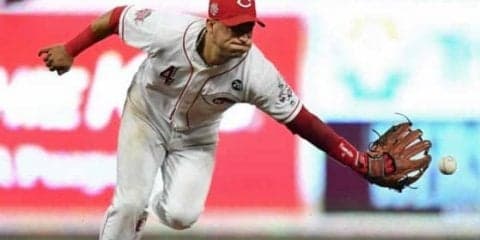 【MLB】レ軍野手、背走バックハンドキャッチ“超美技”にファン歓喜　「あれは見事」