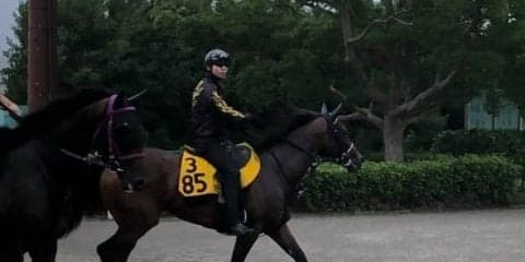 【アイビスSD】カッパツハッチ 千直適正高くチャンス