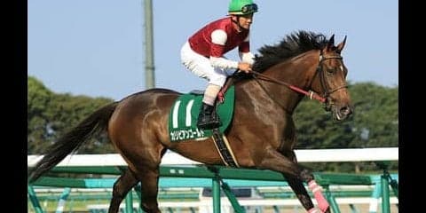 条件馬が激走するクイーンＳで夏休みのお小遣いを増やしちゃえ！