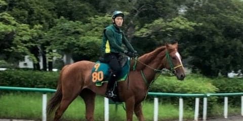 【注目新馬】コパノカリブ 背中の感じ良好で期待大きい