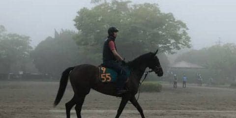 【注目新馬】リラジョリフィーユ  キズナ産駒の有力馬