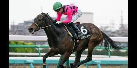 アイビスSDは「千直」の新時代を築く４歳牝馬があっと言わせる