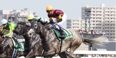 【クイーンS】武豊「向こう正面まで力んでいた」エイシンティンクルは伸びてくるも5着