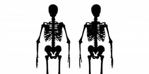 骨格の歪みの原因とは？