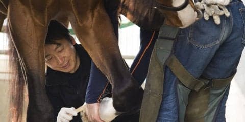 ディープインパクトが急死！装蹄師・西内荘「感謝しかない」