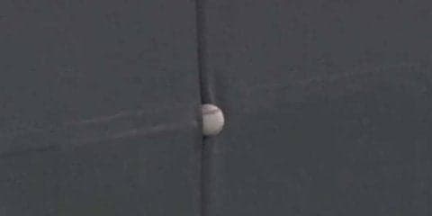 「ただほんとにスポンっ!!」-打球がフェンスに挟まる“珍場面”、パTVで再生10万回超