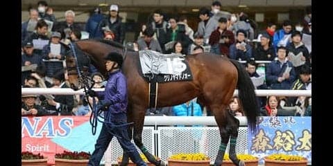 小倉記念は「好調馬」、そして相性のいい２人のジョッキーにおまかせ