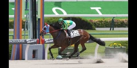 レパードＳは３年連続大荒れか。「逃げるが絡む」傾向に４頭がハマる