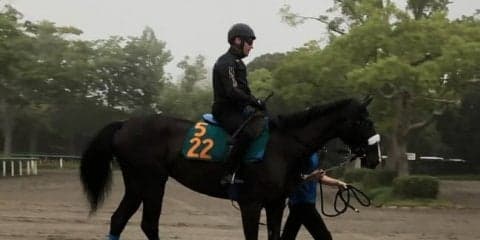 【注目新馬】シンハリング 近親にシンハライトがいる良血馬