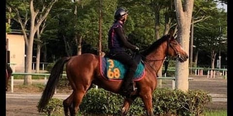 【注目新馬】セントオブゴールド 全姉はショウナンパンドラ