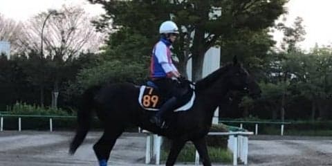 【レパードS】デルマルーヴル 舞台を問わない安定感