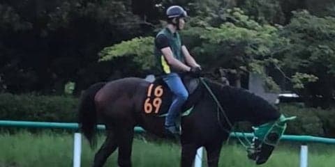 【レパードS】ワシントンテソーロ 早めの競馬で持ち味生かす