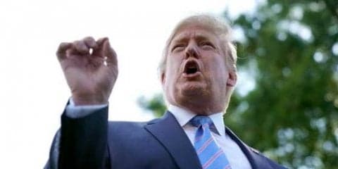 【MLB】球場内にトランプ米大統領支持の垂れ幕　即撤去され、掲げた4人が“退場処分”に