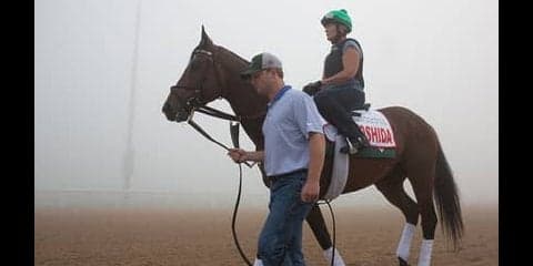 米ＧＩ２勝のヨシダが兄。初陣間近サンクテュエールの評判は上々だ