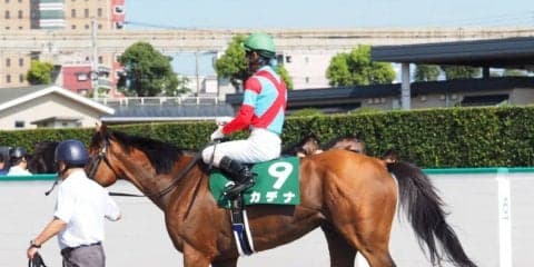 【小倉記念】北村友「馬が良くなっている」カデナが惜しい2着でディープ追悼Vならず