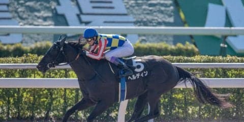 【小倉12R】武豊ヘルディンが軽快な逃げ切りを見せる