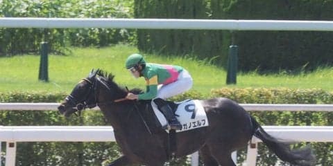 【小倉8R】斎藤新が好騎乗！ロングスパートを決めて7馬身差圧勝！