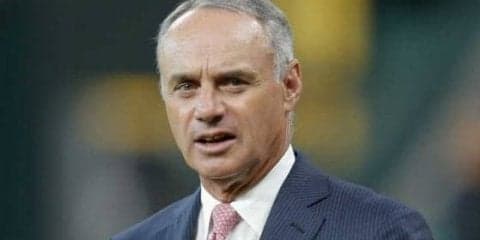 【MLB】“飛ぶボール説”に新事実発見か!? 　米紙がレポート「証明する証拠を…」