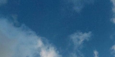 夏バテの原因と養生