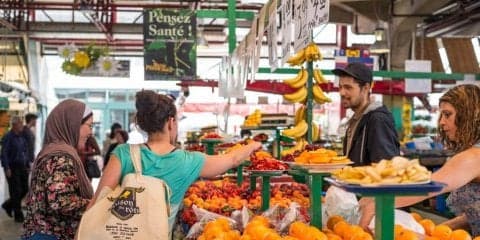 テニス選手に会えるかも？ATP1000 モントリオール会場周辺 観光スポット