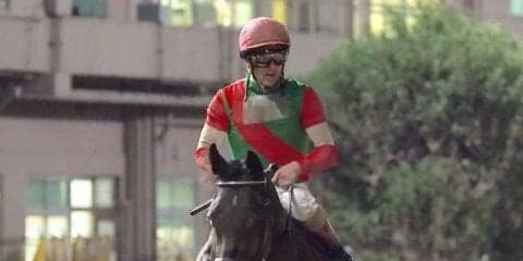 【ブリーダーズゴールドC】JRA出走予定馬