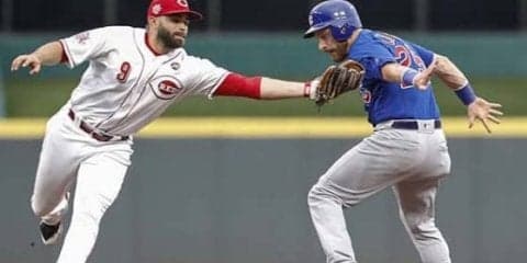 【MLB】ルクロイ、ダルビッシュらとのバッテリー再結成へ「急いで覚えなくて済む。とても良いこと」