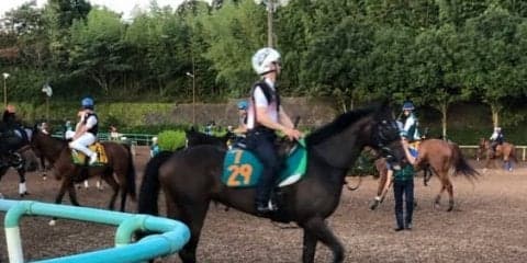 【注目新馬】サンクテュエール  半兄はヨシダ