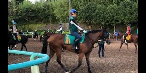 【注目新馬】カトゥルスフェリス  ディープの良血馬が始動
