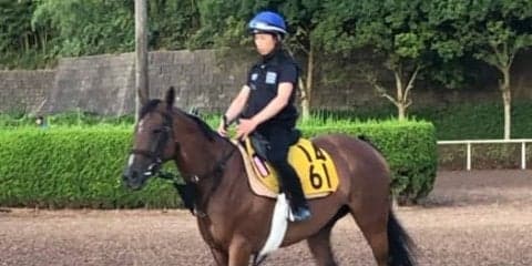 【関屋記念】ハーレムライン コース相性良し