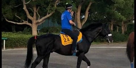 【関屋記念】ミッキーグローリー 勝って賞金加算を