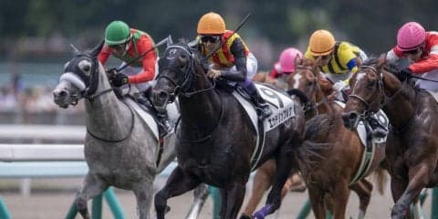 【新馬/札幌5R】武豊エカテリンブルクが圧倒的人気に応える！