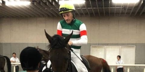 日曜新潟６Ｒ新馬はサンクテュエールが単勝１・５倍の圧倒的支持にこたえて快勝