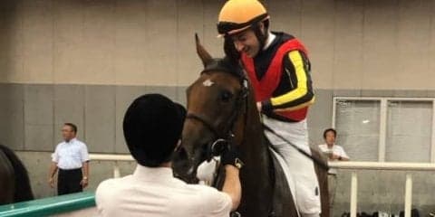日曜新潟５Ｒ新馬は良血カトゥルスフェリスが１番人気にこたえる