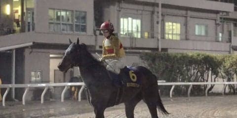 【クラスターC】藤田菜七子 コパノキッキングは6枠9番