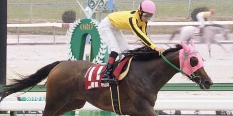 【ヤングジョッキーズTR盛岡/第2戦】菅原明「後ろ来ないでくれ…」サンエイヴィーナスで勝利！